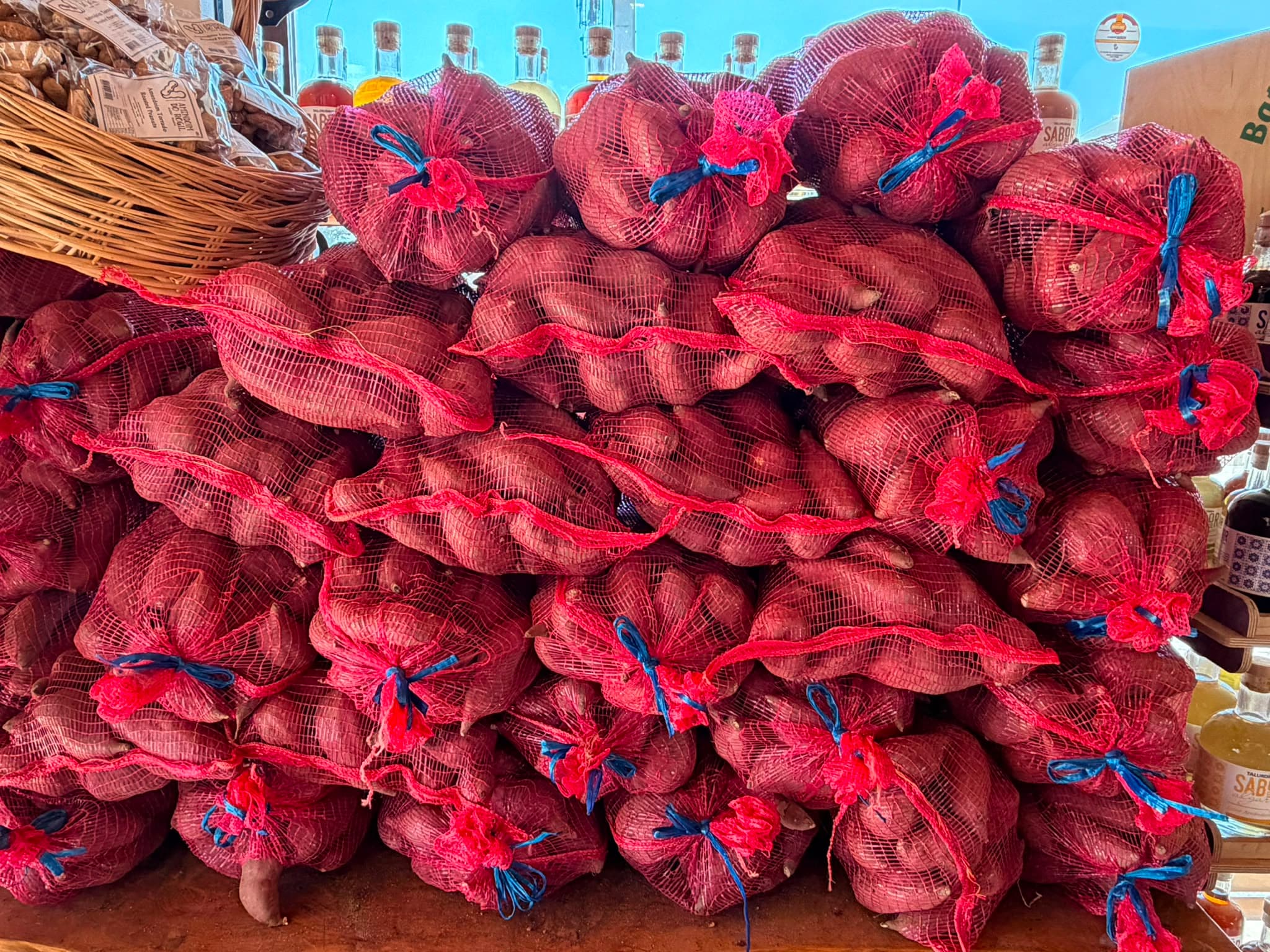 Sacos de rede vermelha cheios de batata-doce de Aljezur, empilhados