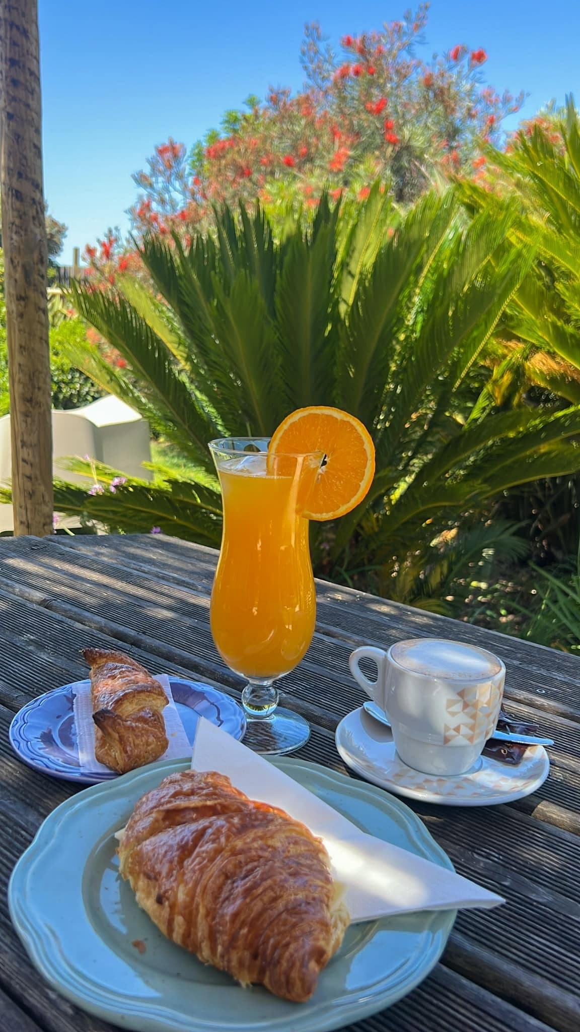 Pequeno-almoço no jardim