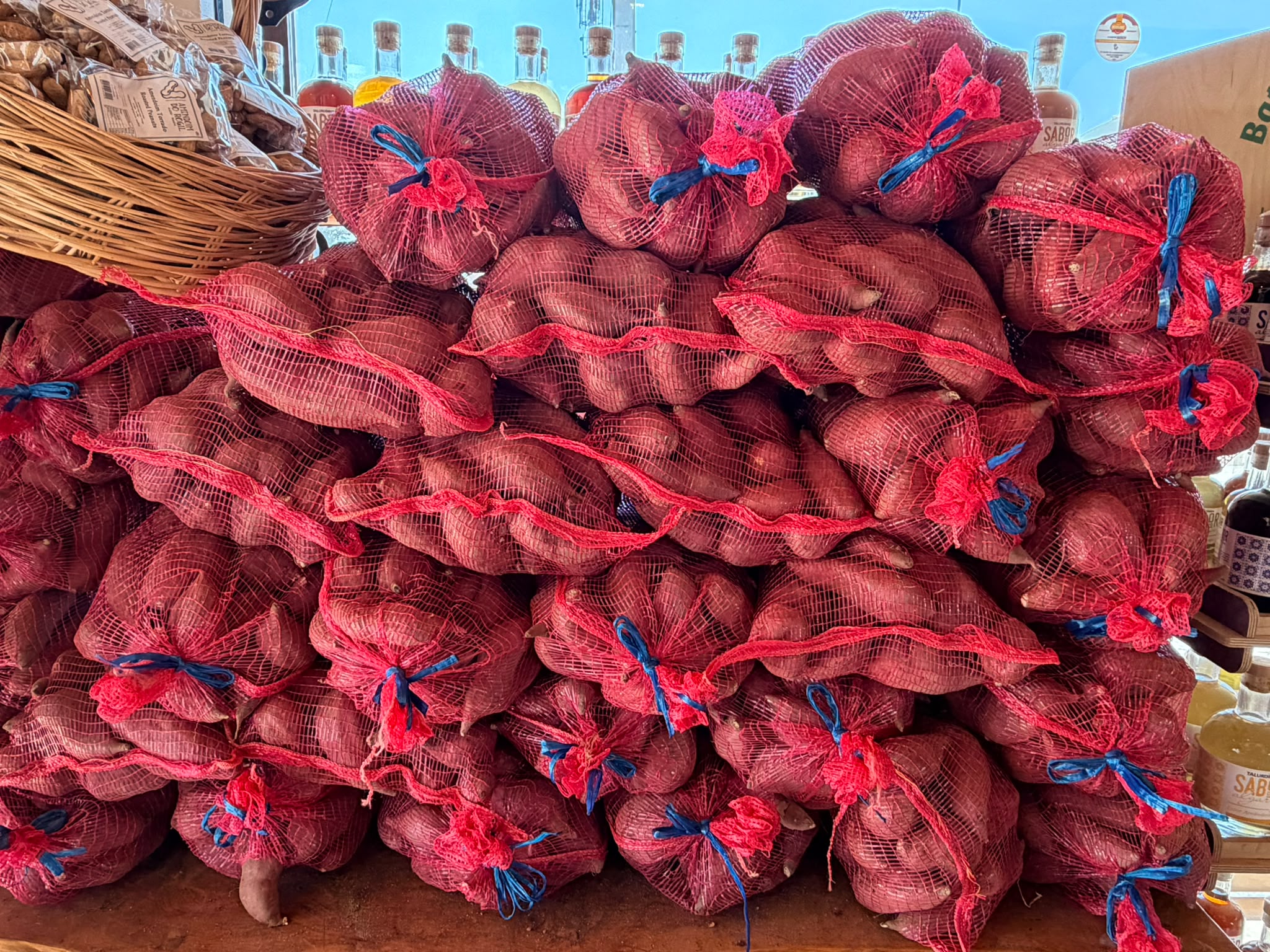 Sacos de rede vermelha cheios de batata-doce de Aljezur, empilhados