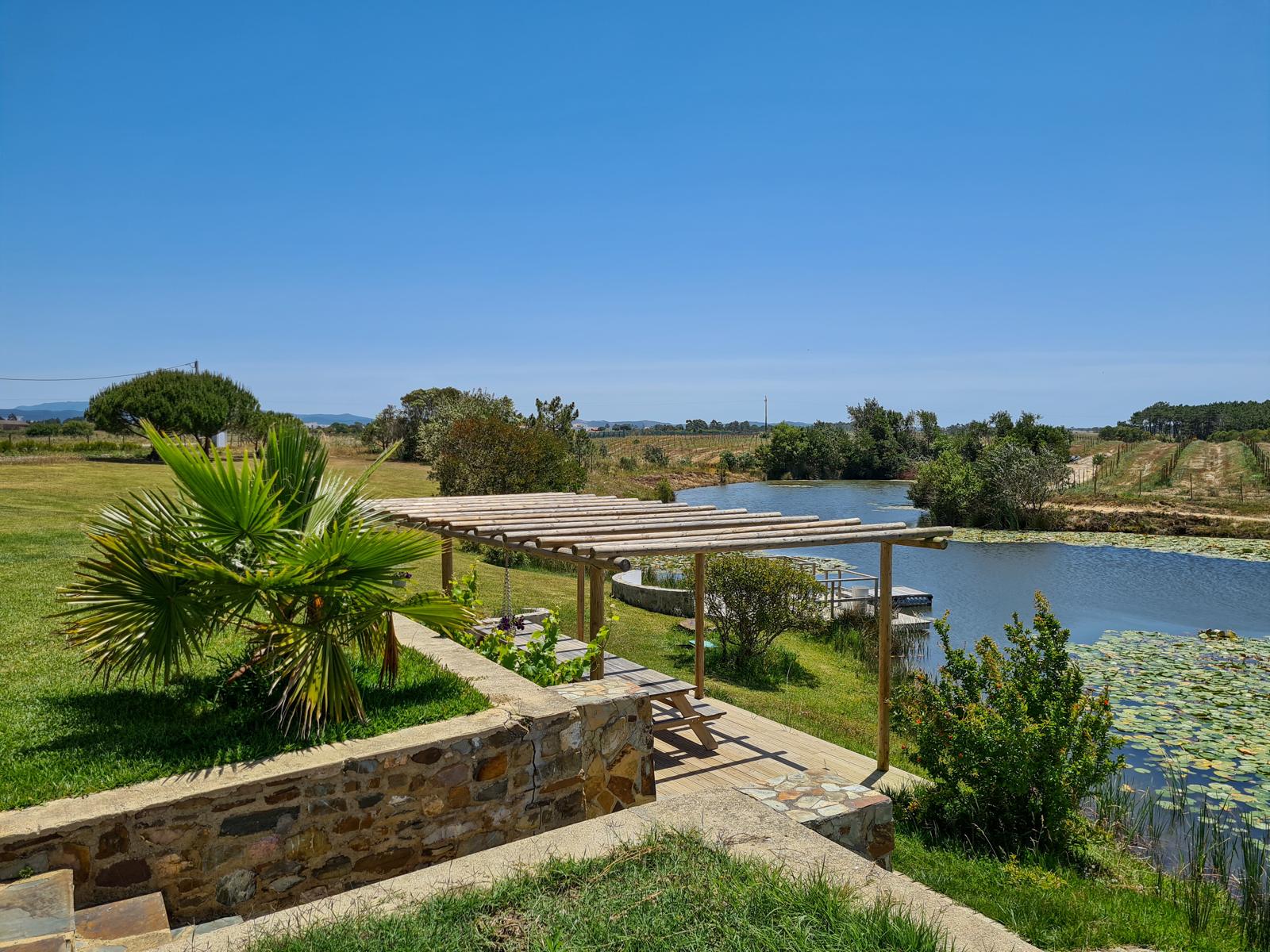 Jardim com relva, oleandros e lago, partilhado pelas casas e pelo hotel