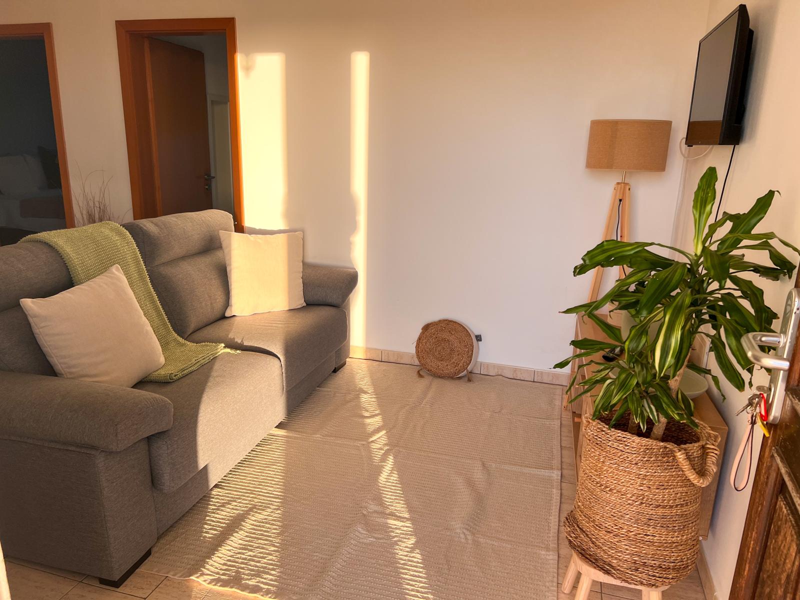 Sala com sofá e planta em cesto de fibra